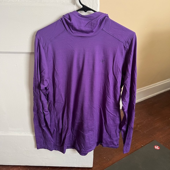 Arc'teryx Other - Arcteryx Wool Hoodie